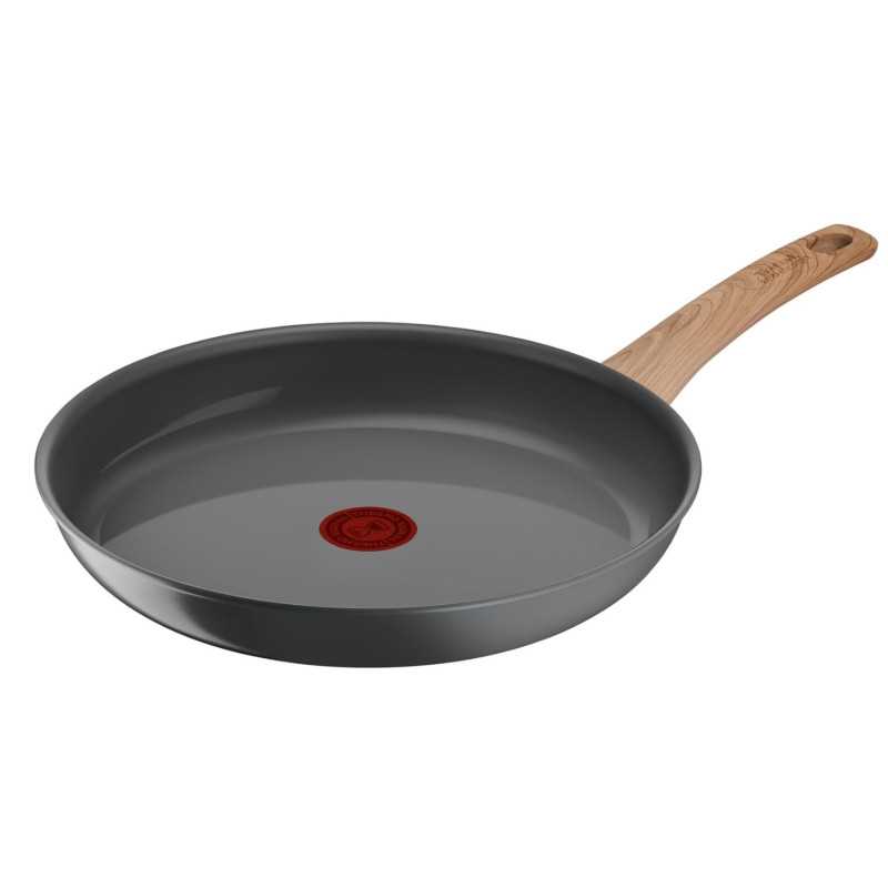 TEFAL C4250513