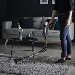 Rowenta RH2037 X-Force Flex 9.60 RH2037 Steelstofzuiger 2