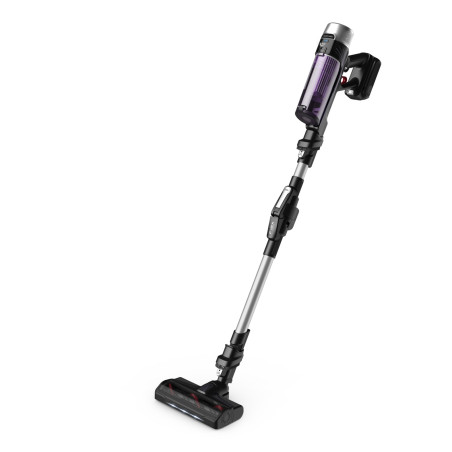 Rowenta RH2037 X-Force Flex 9.60 RH2037 Steelstofzuiger