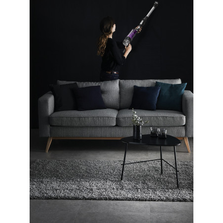 Rowenta RH2037 X-Force Flex 9.60 RH2037 Steelstofzuiger