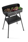 FRITEL BBQ2246