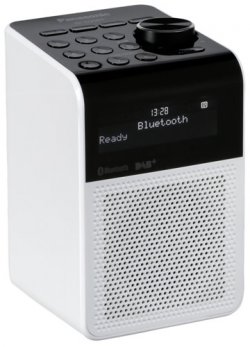 PANASONIC RFD20BTEGW